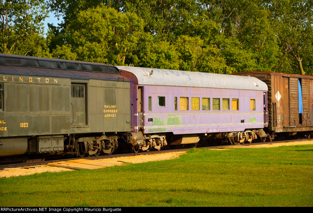 Union Pacific Coach / Purple Martin